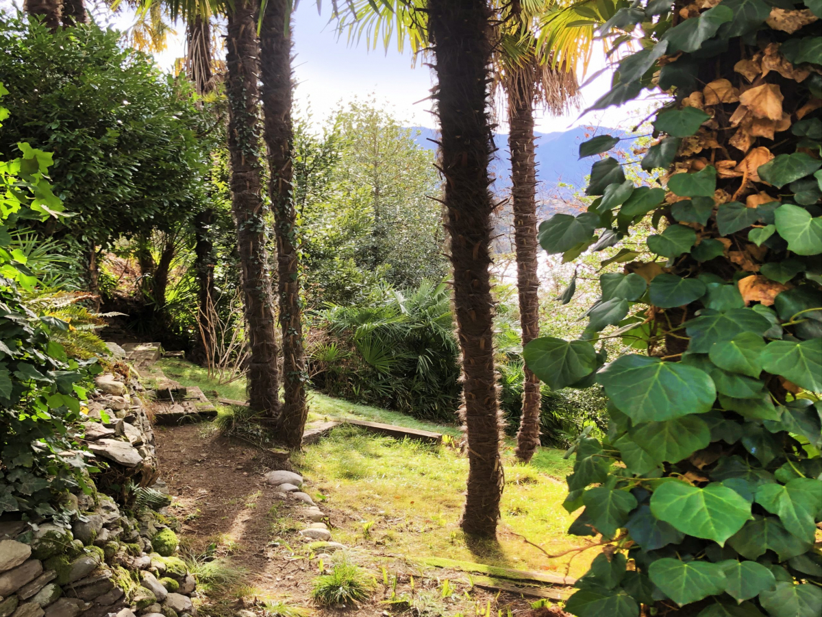 garden downstairs 4000×3000