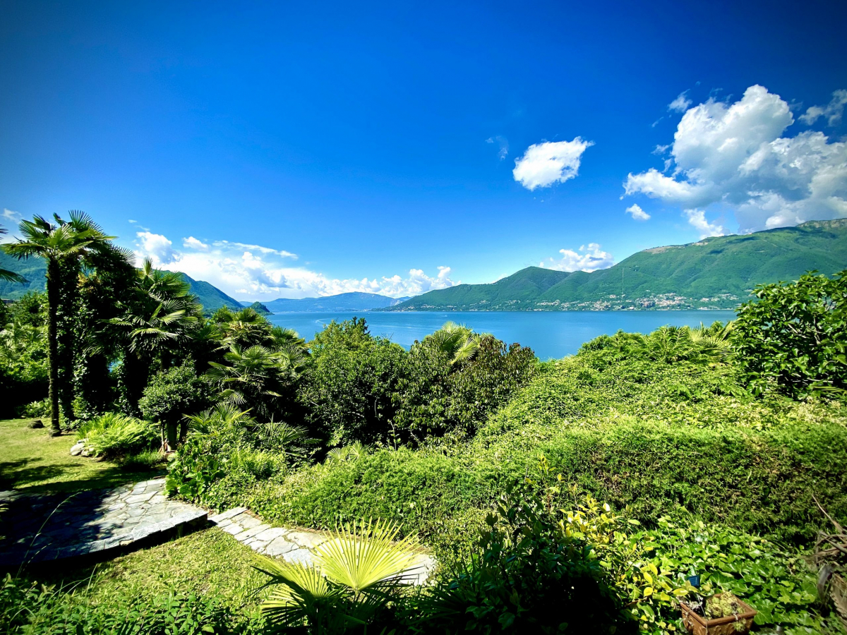 garden from upper terrace