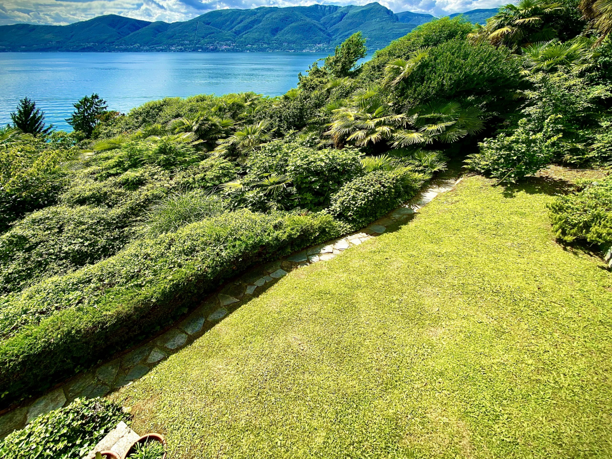 garden grass from balcony 4000×3000