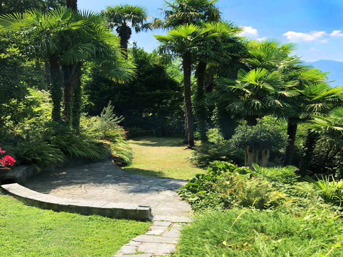 garden grass terrace 4000×3000