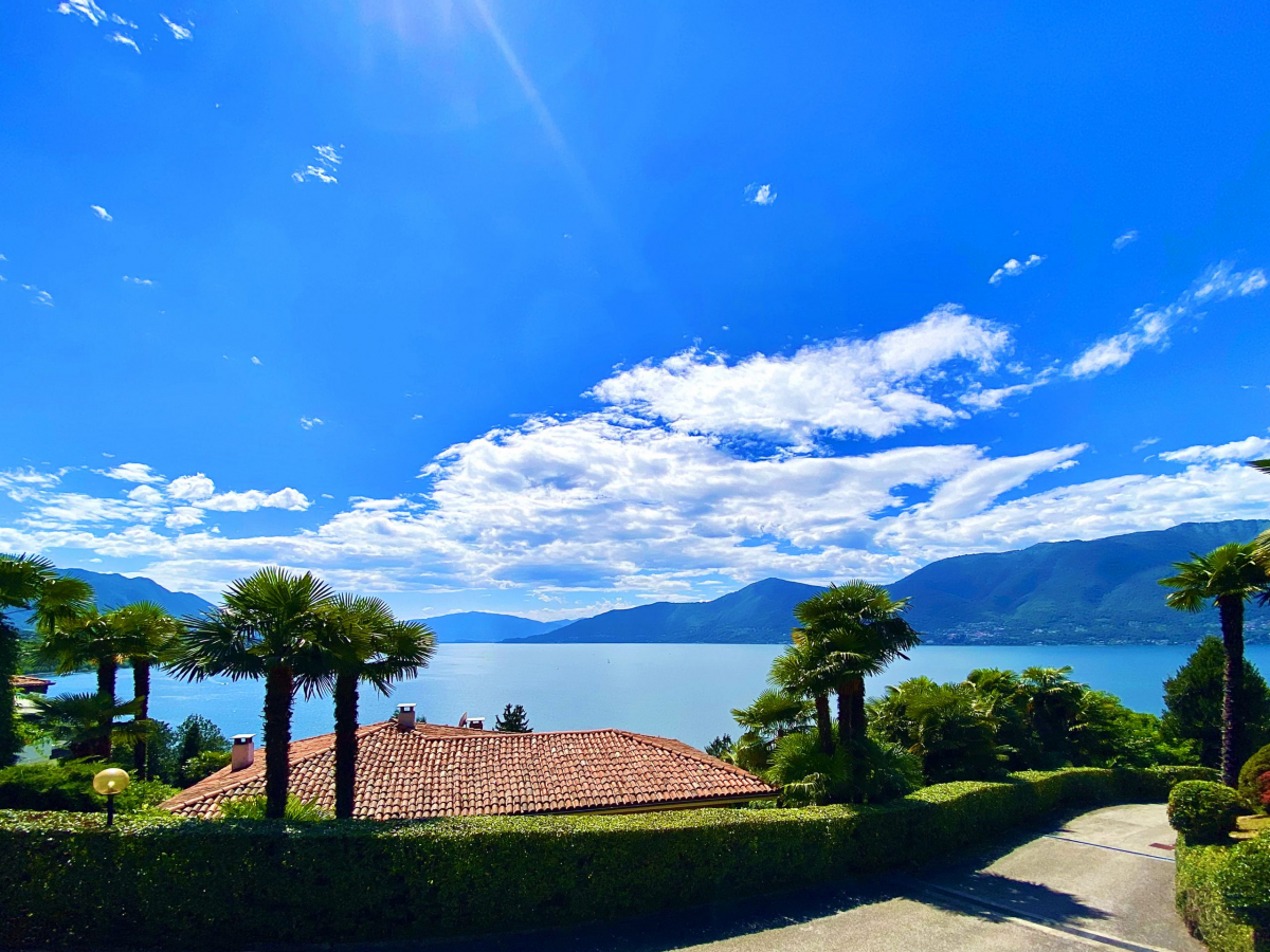 house view roof day 4000×3000