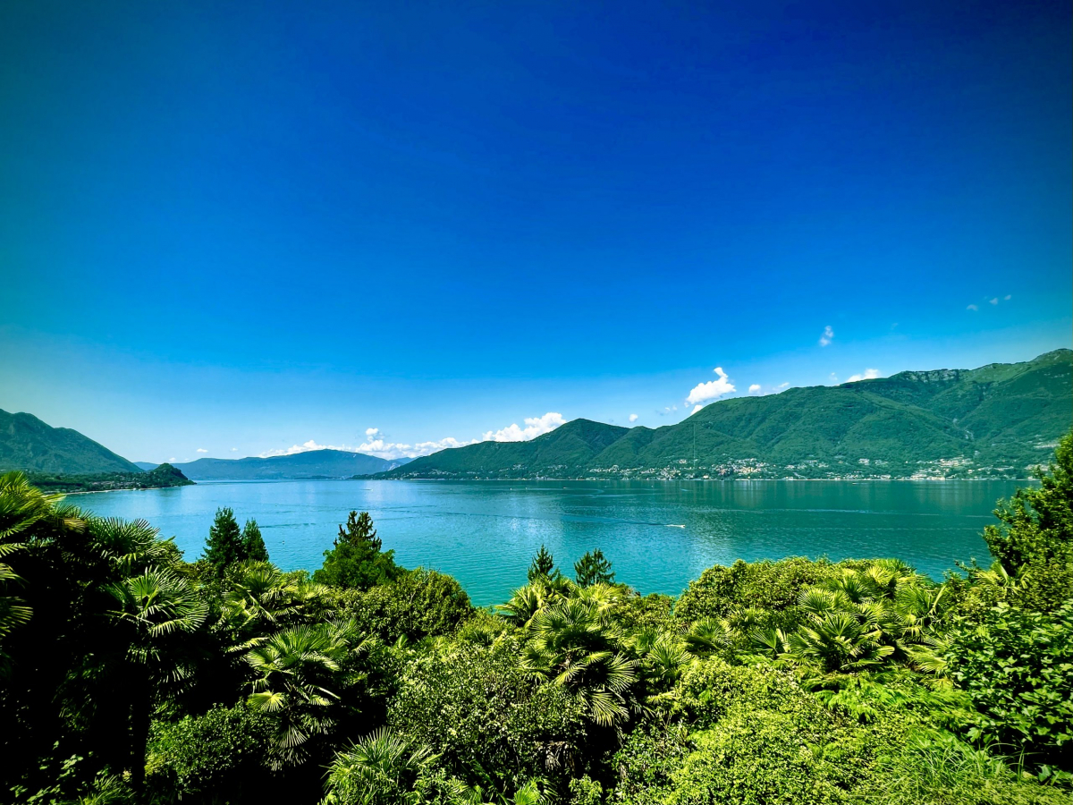 view summer day home