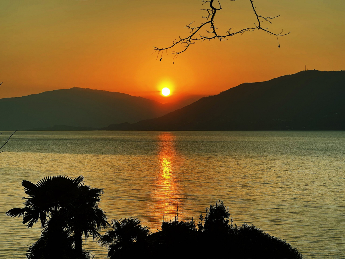 view sunset garden 4000×3000